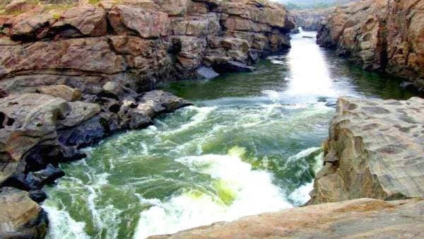 Rejects Mekedatu Dam Project Report