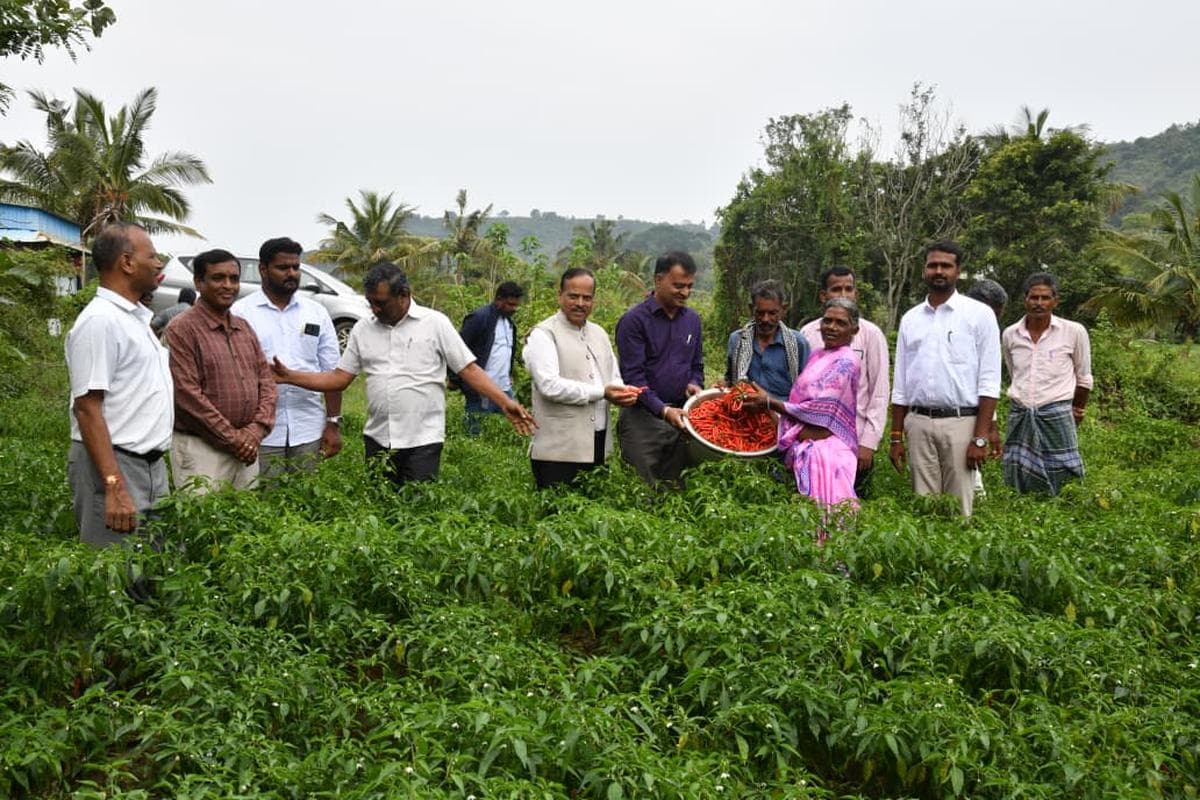 🌾 இன்றைய தமிழ்நாடு வேளாண் செய்திகள் (21 ஜூலை 2026)